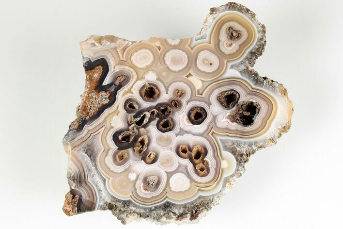 Polished, Coyamito Pseudomorph Agate - Chihuahua, Mexico #193185